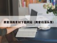 林州黑客漫画素材下载网站（黑客动漫头像）